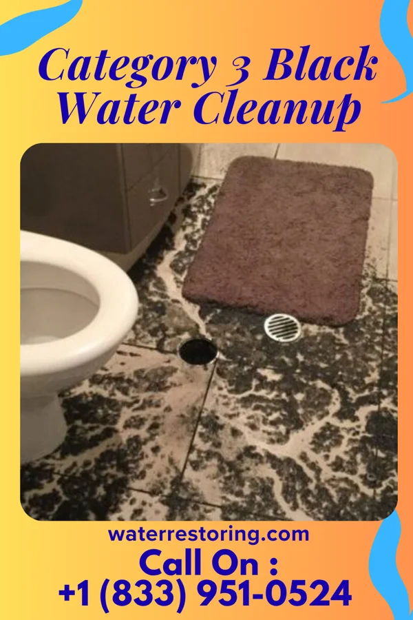 Category 3 Black Water Cleanup in Sun Valley, TX