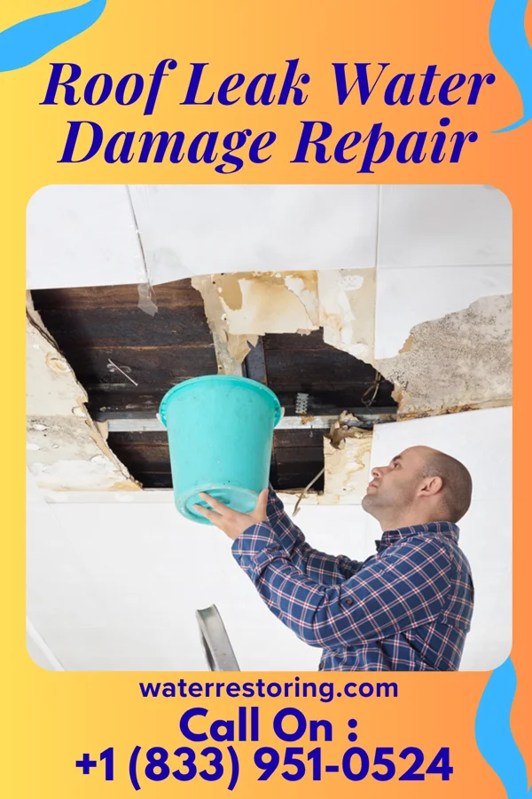 Roof Leak Water Damage Repair in Sun Valley, TX