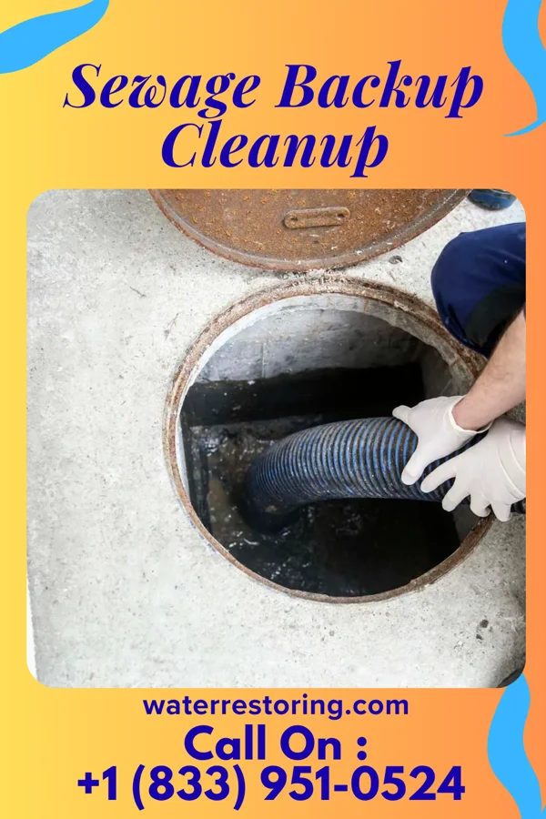 Sewage Backup Cleanup in Sun Valley, TX